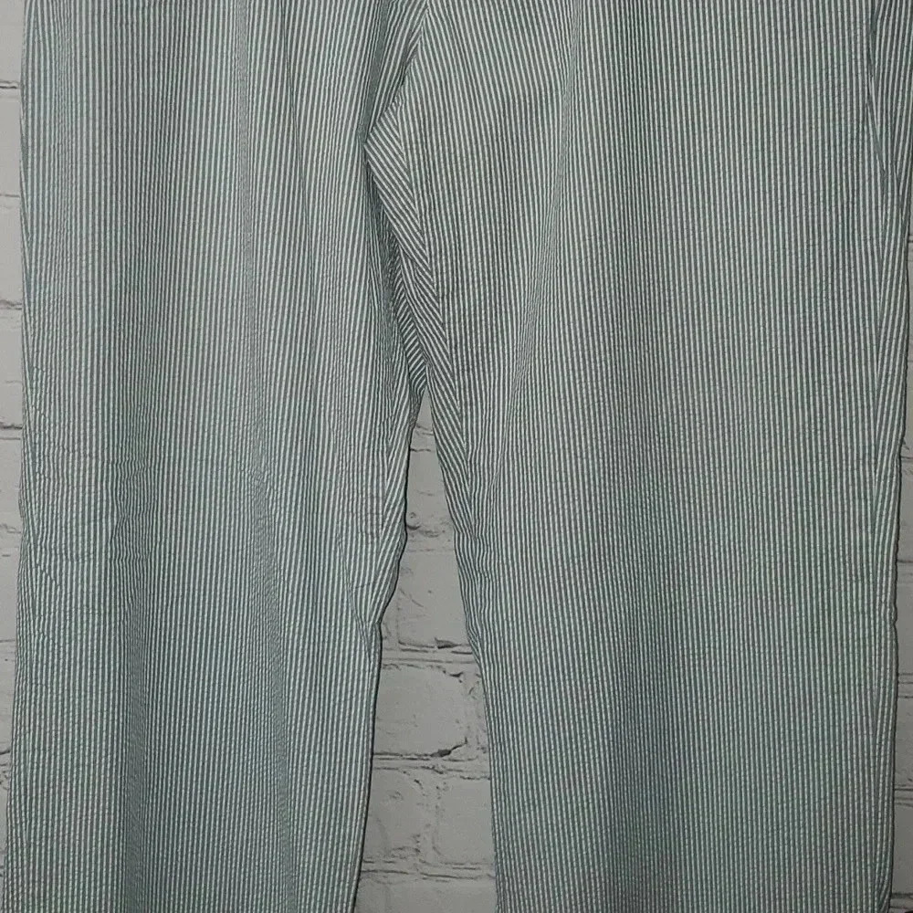 American Eagle Outfitters Classic Fit Flat Front Blue Pin Stripe Chinco Pants - Picture 7 of 12